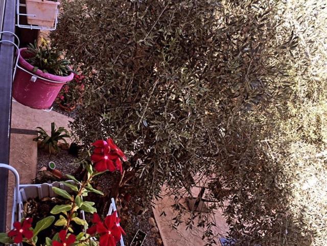 פמגוסטה Bella Casetta Guest House מראה חיצוני תמונה