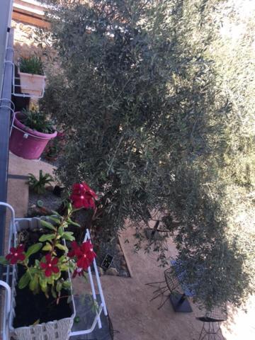 פמגוסטה Bella Casetta Guest House מראה חיצוני תמונה